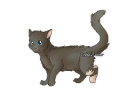 Apprentieguerriseusenc.png (30 kio) Version apprentie guérisseuse