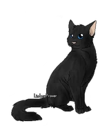 Pelage d'Avoine.png (27 kio) Version lieutenante