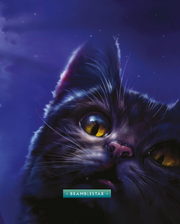 Griffe de Ronce dans 