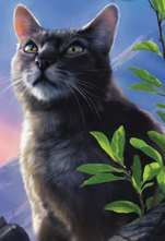 Gris Poil sur la couverture anglaise de 