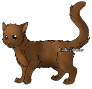 Turtlepaw.png (45 kio) Version apprenti