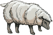 Mouton-2