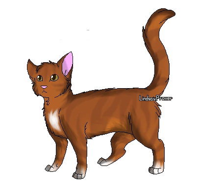 Poil De Belette Wiki La Guerre Des Clans Fandom