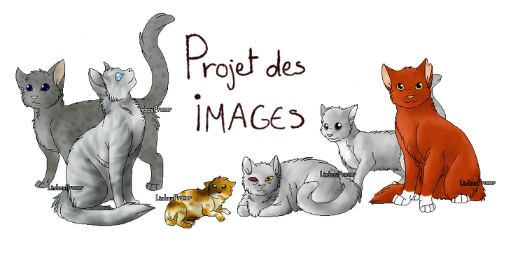 Projet des images