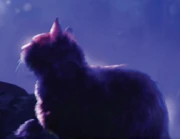 Étoile du Tigre sur la couverture anglaise de 