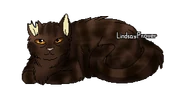 Version ancien