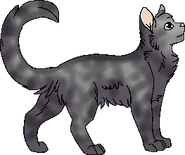 Version chatte errante