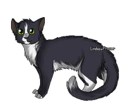 IMG 8063.png (43 kio) Version guerrière