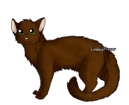 Pelage Pommelé.png (41 kio) Version guerrière