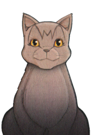 Millie Cover.png