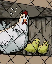 Poule et ses poussins