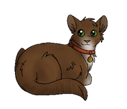 Version chatte domestique