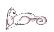 Version reine