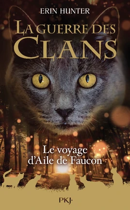 Premiere de couverture Le voyage d'Aile de Faucon
