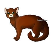 Flashnose guerrière.png (36 kio) Version guerrière