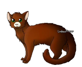 Flashnose guerrière