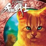 Étoile de Feu sur les cartes chinoises