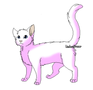 Stonewing Guerrier.png (18 kio) Version guerrier