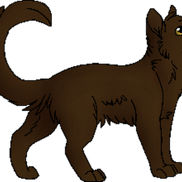 Renard Chat Wiki La Guerre Des Clans Fandom