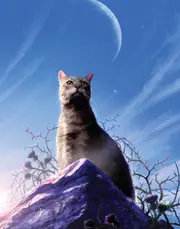 Conteur des Pointes Rocheuses dans The Ultimate Guide : Updated and Expanded Edition