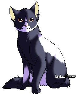 Etoile Filante Wiki La Guerre Des Clans Fandom