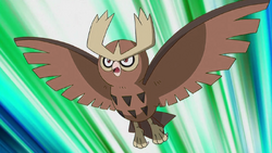 Ash's Noctowl, Pokémon Wiki