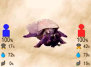 Hermit Crab 2