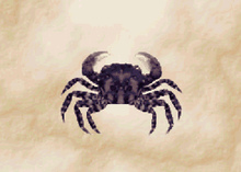 SandCrab