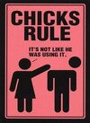 Chicks rule misandry.jpg