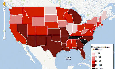 Gun crime map.jpg