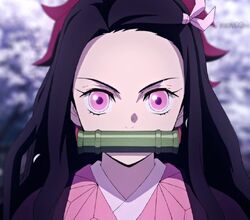 Nezuko Kamado, Wikia Liber Proeliis