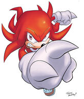 Knuckles The Echidna