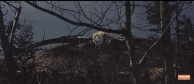 Hurricane winds