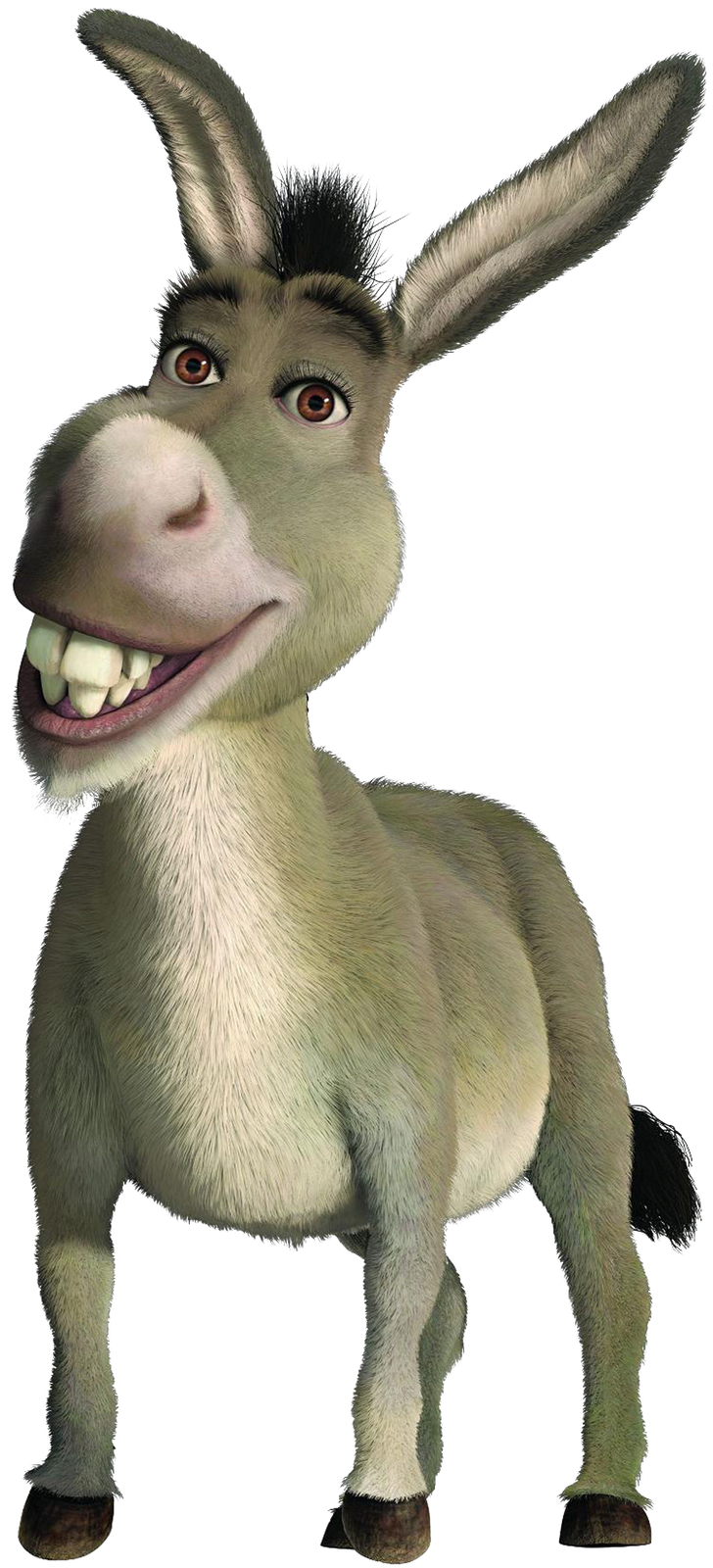 Parece o burro do ogro verde