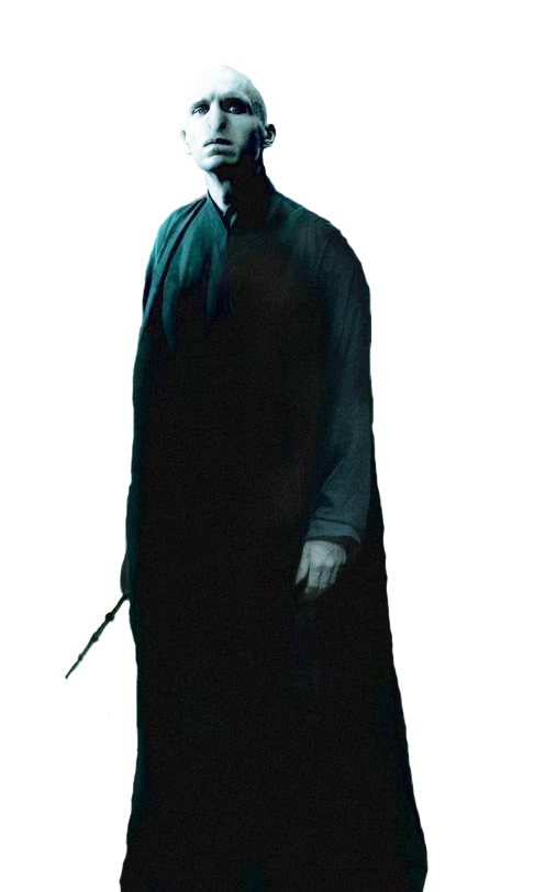 Lord Voldemort, Wikia Liber Proeliis