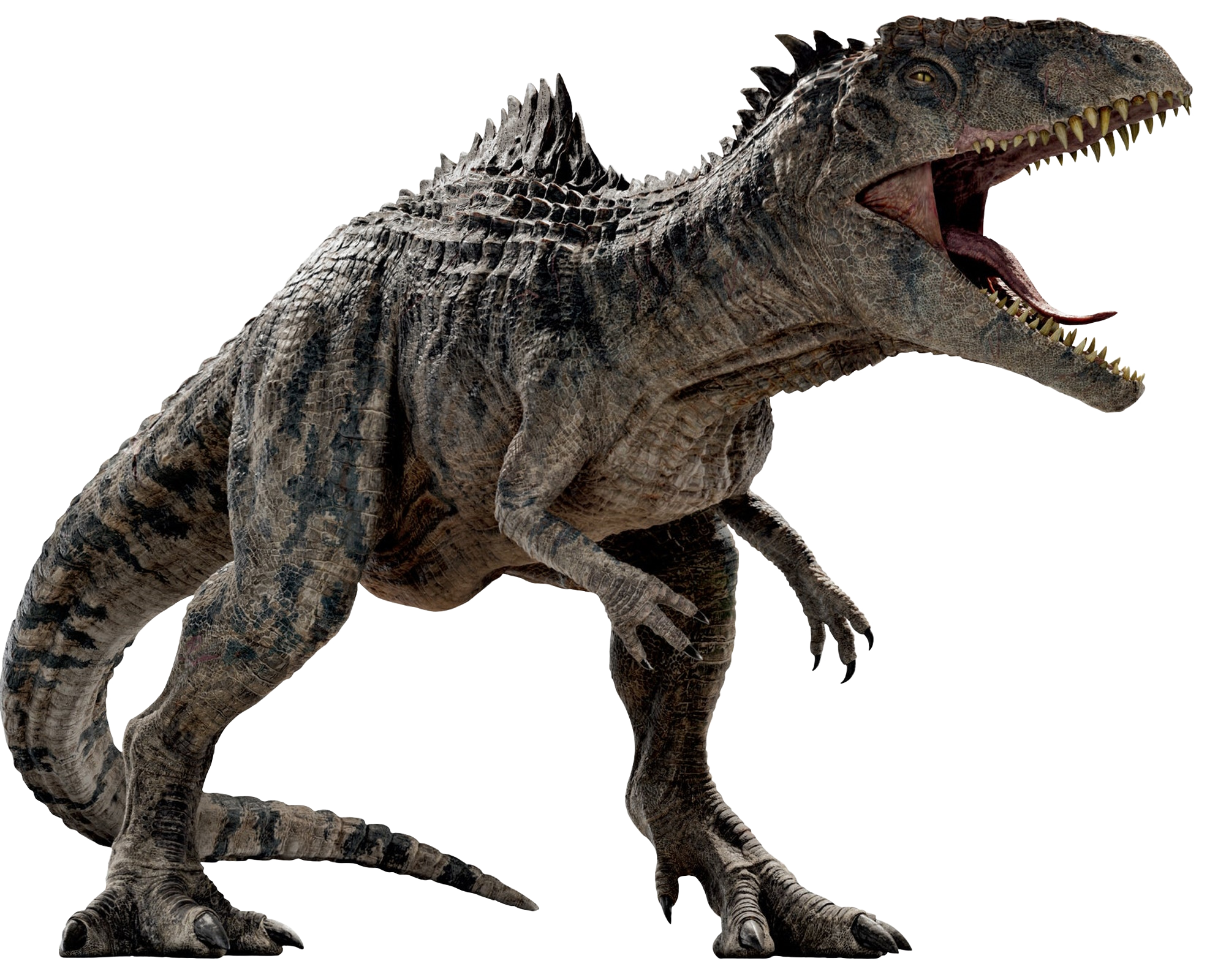 Giganotossauro (Jurassic World), Wikia Liber Proeliis