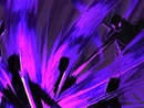 幻影乱舞