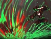 憤怒の従者EGO