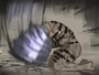 捨てられた殺人鬼金属音