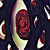 蜘蛛のつぼみ