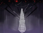 蜘蛛のつぼみ繭