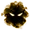 暗黒icon