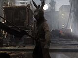Mad Donkey