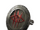 Assassin's Amulet