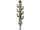 Seven-Coil Spring Sword
