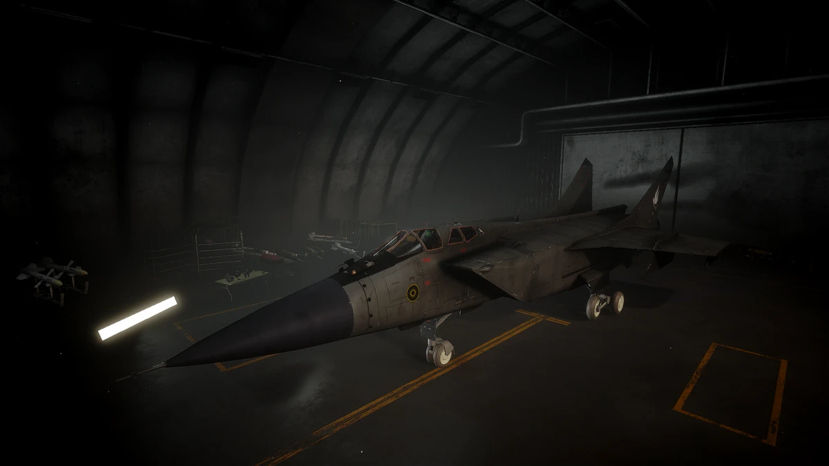 Mg-24 | The Catastrophe Lore Hub Wiki | Fandom