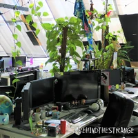 Desk, presumably Michel Koch's.[40]