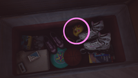 The chicken in Karen's room in Life is Strange 2 (Episode 2).