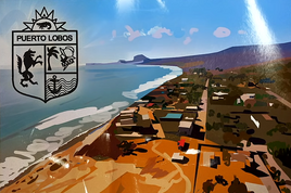 Puerto Lobos postcard