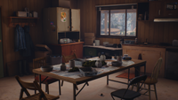 The kitchen during the day.